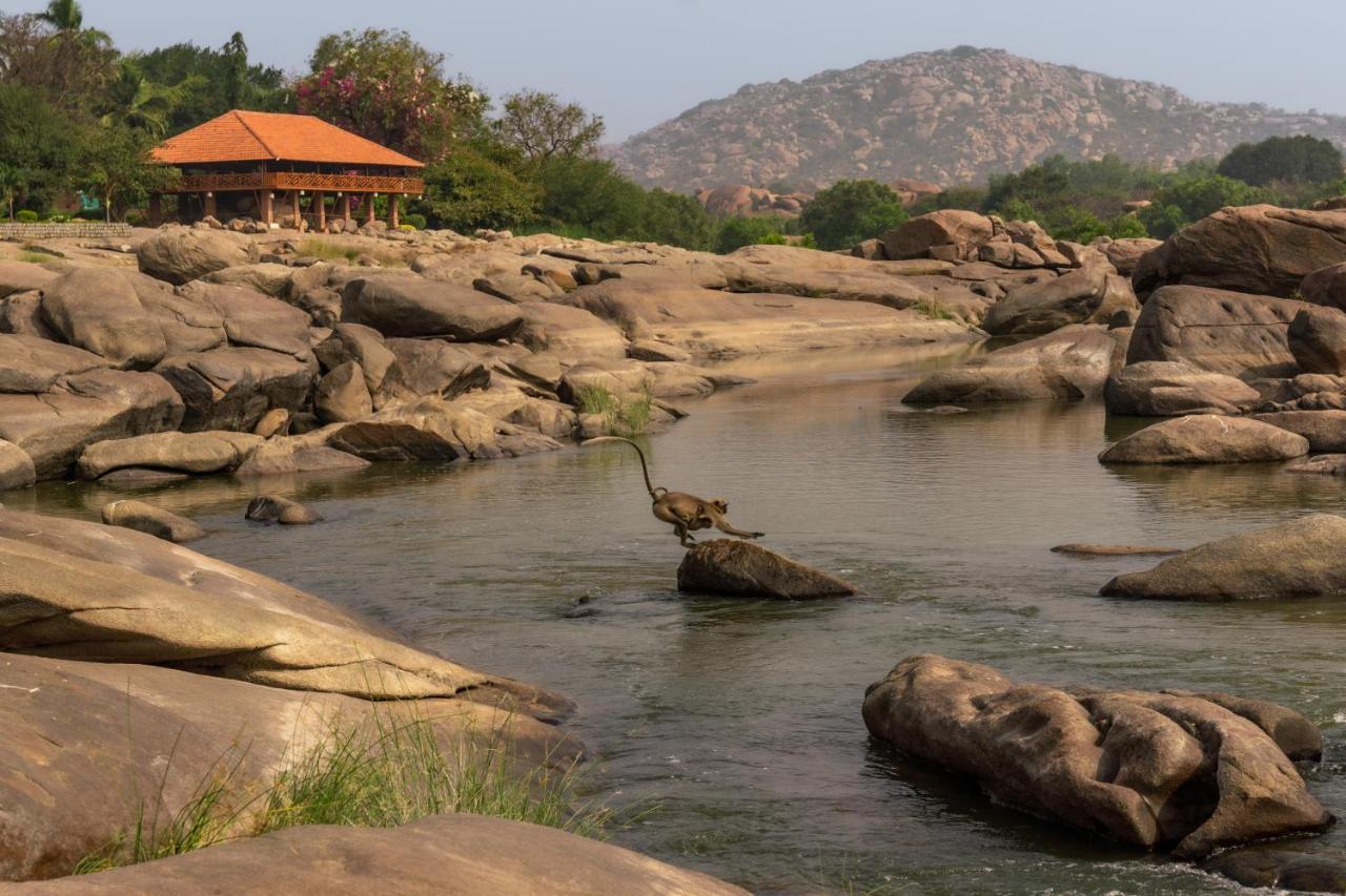 Leo Wodden Resort Hampi Ngoại thất bức ảnh