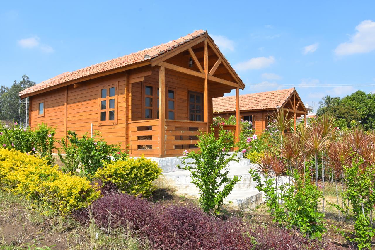 Leo Wodden Resort Hampi Ngoại thất bức ảnh