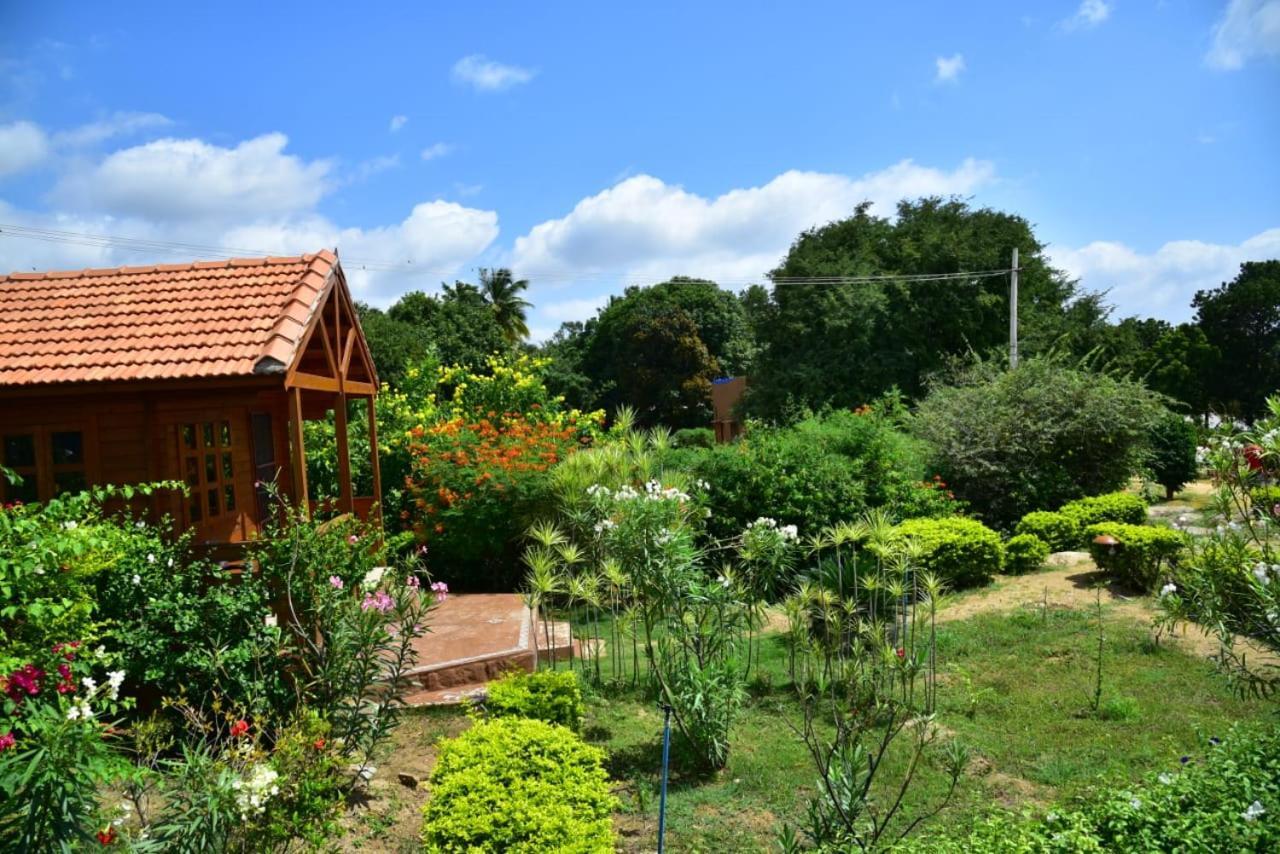 Leo Wodden Resort Hampi Ngoại thất bức ảnh
